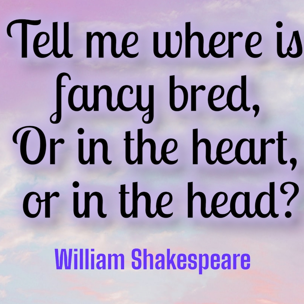FancySwap 💕💕 - Picture 10 of 16